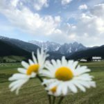 Sommerzeit © Gipfelfieber