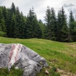 Über Wiesen © Gipfelfieber