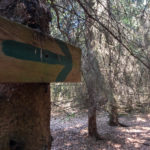 Ein einziger Hinweis © Gipfelfieber