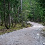 Im Wald © Gipfelfieber