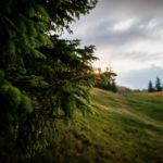 Über Almwiesen © Gipfelfieber