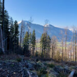 Wallberg auf der anderen Talseite © Gipfelfieber