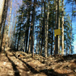 Kurz vorm Gipfel © Gipfelfieber