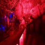 Beleuchteter Zauberwald © Gipfelfieber