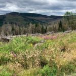 Gipfel vom Brocken aus © Gipfelfieber