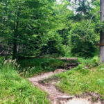 Nicht zu verfehlen © Gipfelfieber