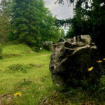 Gipfel © Gipfelfieber