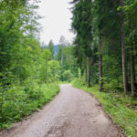 Forstweg © Gipfelfieber