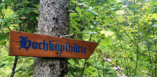 Wanderung auf den Altlacher Hochkopf: Der König und sein Komponist Wanderung auf den Altlacher Hochkopf: Der König und sein Komponist © Gipfelfieber