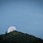 Die Notkarspitze in den Ammergauer Alpen: Der selbstgekrönte Kaiser © Gipfelfieber