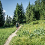 Lichtung © Gipfelfieber