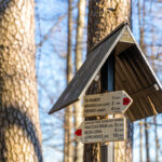 Wegweiser © Gipfelfieber