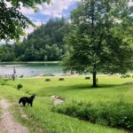 Luegsteinsee © Gipfelfieber