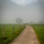 Nebel im Kaiserwinkl © Gipfelfieber