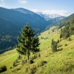 Über dem Habersauertal © Gipfelfieber