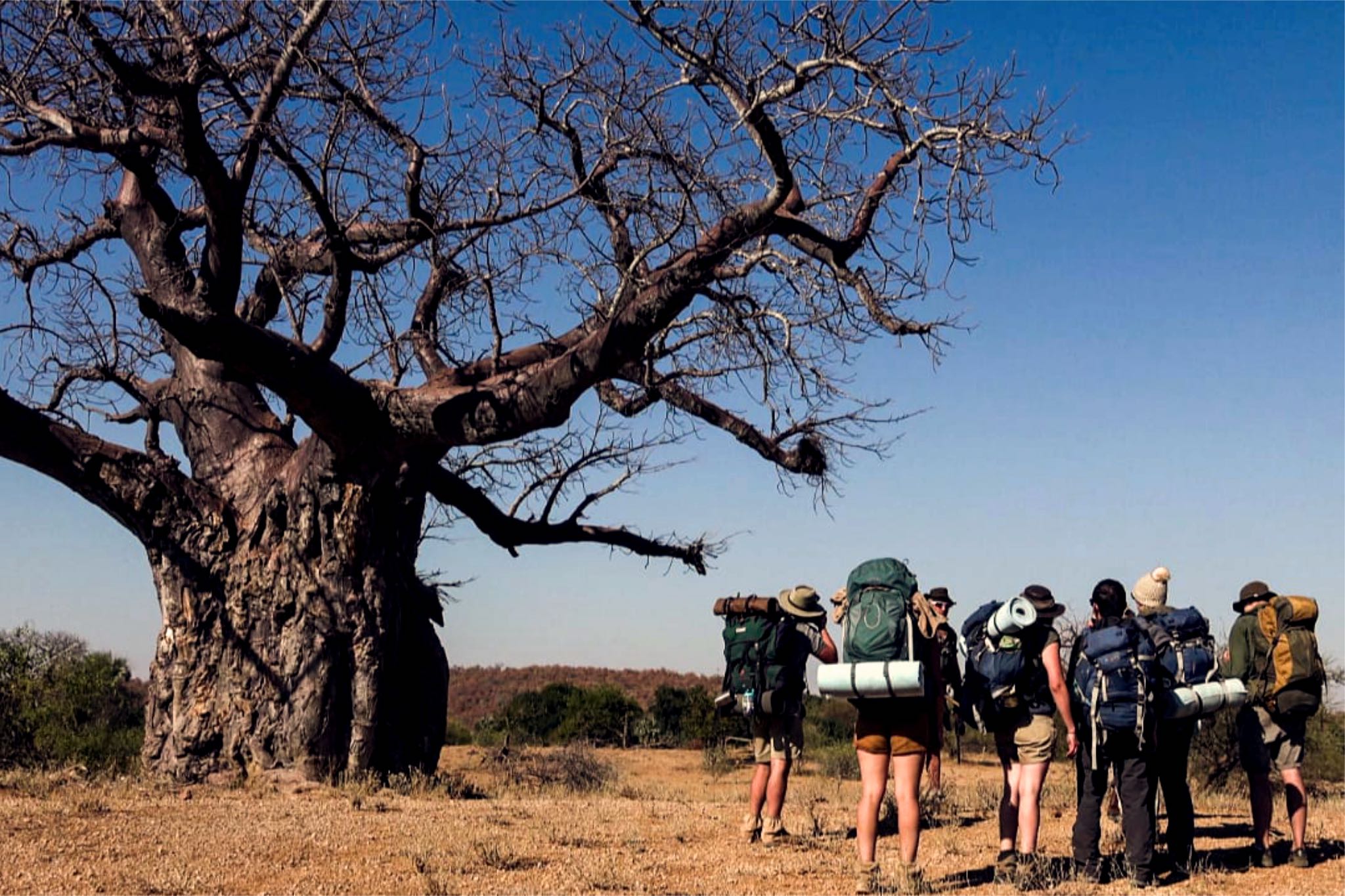 Walking Safari im Krüger Nationalpark