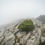 Teils weglos zum Gipfel © Gipfelfieber