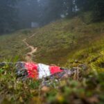 Zum Schneidjoch Sattel © Gipfelfieber