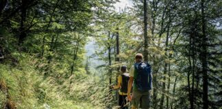 Durch Buchenwälder © Gipfelfieber
