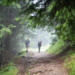 Aufstieg im Wald © Gipfelfieber