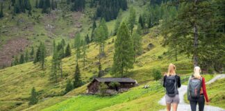 Maurachalm und Karseggalm im Großarltal- Käse, Krapfen und Zither © Gipfelfieber