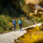 Herbstfarben © Gipfelfieber