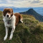 Wanderbuddy Mira © Gipfelfieber