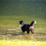 Badespaß © Gipfelfieber