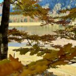 Leuchtender Herbst am Mittersee © Gipfelfieber