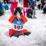 Wo gehobelt wird, fallen Spähne © Gipfelfieber