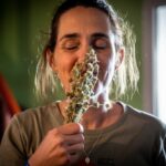 Alpine Kräuter © Gipfelfieber