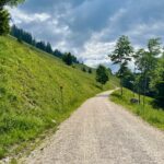 Raus aus dem Wald © Gipfelfieber