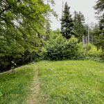 Über eine große Wiese © Gipfelfieber