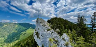 Wanderung zum Dampfschiff: Vergessene Steige am Rechenberg © Gipfelfieber