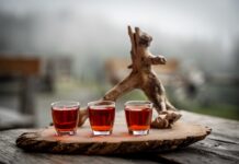 Zirbenschnaps: Das Rezept zum Selbermachen © Gipfelfieber