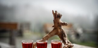 Zirbenschnaps: Das Rezept zum Selbermachen © Gipfelfieber