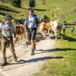 Auf dem Weg ins Tal © Gipfelfieber