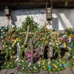 Prächtiger Schmuck © Gipfelfieber