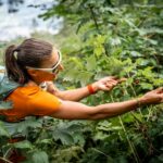 Himbeeren am Wegesrand © Gipfelfieber