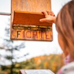 Bergwald-Erlebnispfad zum Frillensee © Gipfelfieber