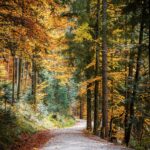 Einfacher Wanderweg © Gipfelfieber