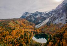 Herbstwandern zum Frillensee: Farbexplosion am kältesten See Deutschlands Frillensee im Herbst © Gipfelfieber