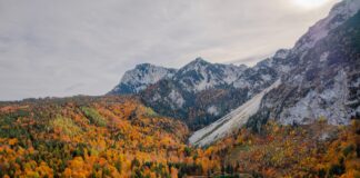 Herbstwandern zum Frillensee: Farbexplosion am kältesten See Deutschlands Frillensee im Herbst © Gipfelfieber