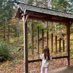 Instrument im Wald © Gipfelfieber