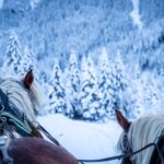 Das Glück dieser Erde © Gipfelfieber