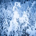 Winterwunderland © Gipfelfieber