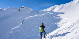 Schneebrettlawine © Lukas Ruetz