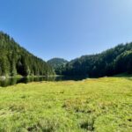 Am Ufer des Taubensees © Gipfelfieber