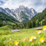 Bindalm und Reiteralpe © Gipfelfieber