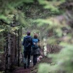 Wandern im Wald © Gipfelfieber